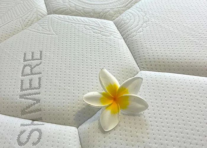 Apartment Hero - Luxury In *